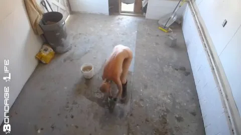 Bondagelife 1 clean chicken coop 0001