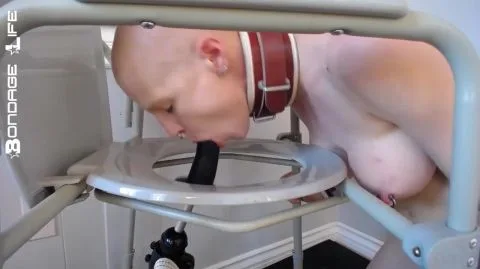 Bondagelife 1 dildo training fucking machine 0001