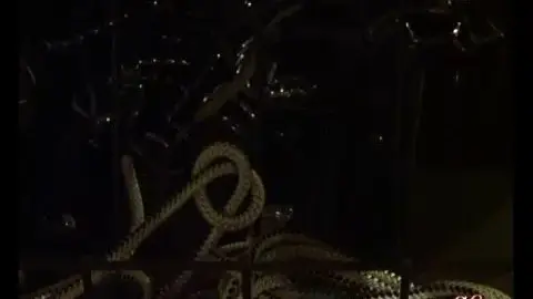 Slaves in love bd370 02