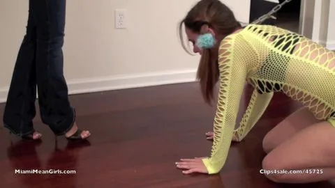 Miami Mean Girls H 265 Humiliate The Lezbo Whore part 1