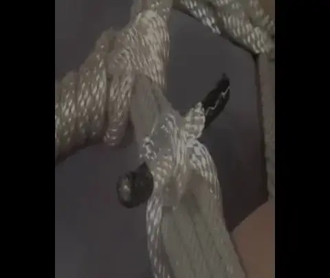 Quality Control reither1