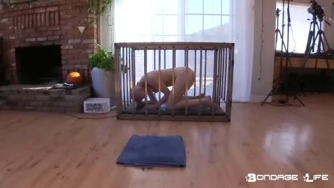 Bondagelife 1 bm headshave2 0001