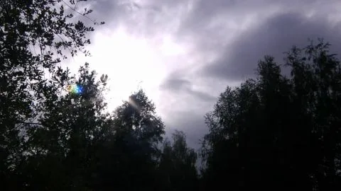 Slaves in love bd882 04