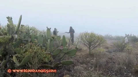 BloodAngels bloodangels clip283