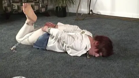 Quality Control cleoplan2