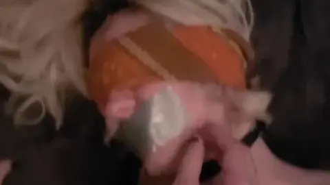 knottydevil 2022 12 06 Co topping adorgeous with pixiebait 02d6