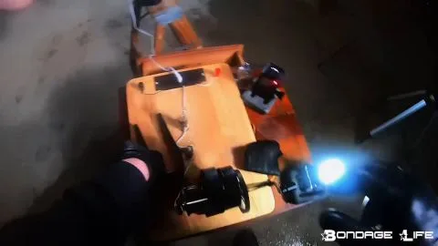 Bondagelife 1 bm parrot perch 0001