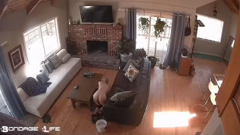 bondagelife 2020 livecam 04 03 2020 floor scrubbing