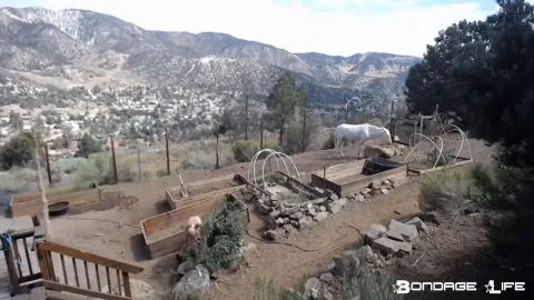 Bondagelife 1 yardwork 0001