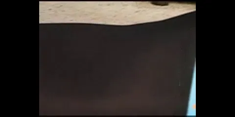 Quality Control Livduck2