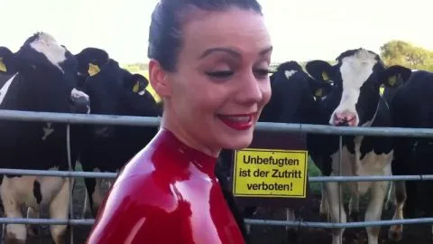 Latexperiment lateXperiment Behind the scenes