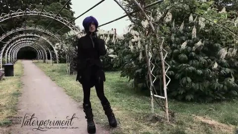 LateXperient H265 2018 08 05 Angelia Russo