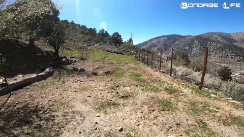 bondagelife 2020 livecam 04 22 2020 yard maintenance