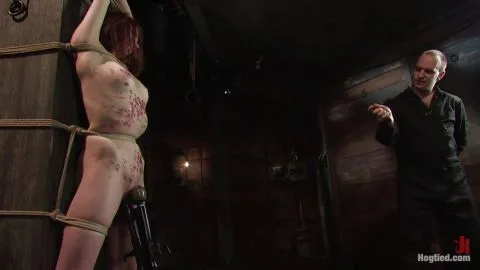 Hogtied 2009 6225 sasha lexing