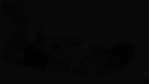 Quality Control amyhog