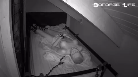 Bondagelife 1 livecam 03 14 2019 sleep