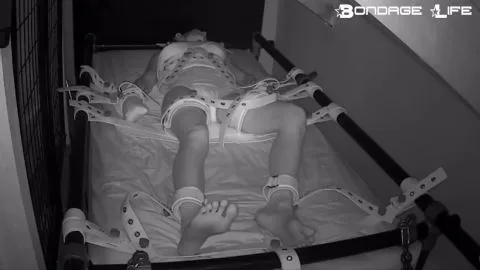 Bondagelife 1 segufix nap diaper 0001