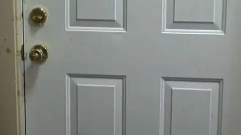 Quality Control VegaEnt1