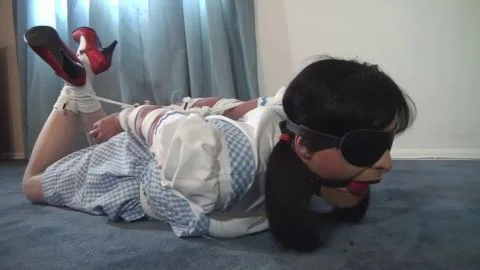 TranniesInTrouble delilah dorothy gingham lrg