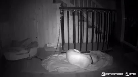 bondagelife 2020 livecam 03 19 2020 sleep