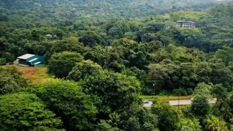 DVD Previews Honeymoon 1