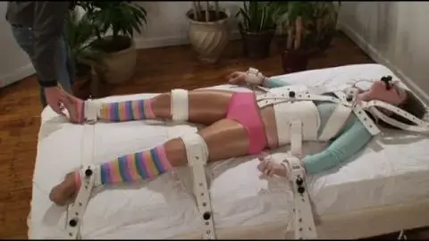 Quality Control DaisyBed4