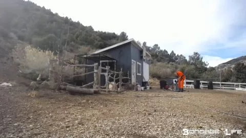 Bondagelife 1 yardworkwithgreyhound 0001