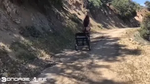 Bondagelife 1 pony cart walk 0001