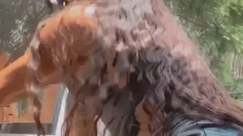 sweetlaurasaenz sweetlaurasaenz 2021 04 06 2075300554