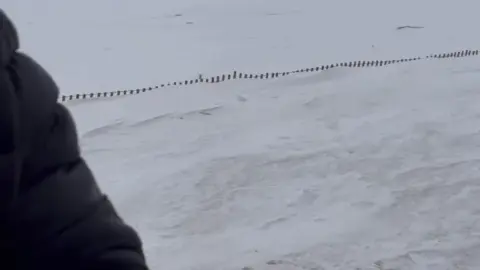 TanlinesNGoodTimes – OnlyFans Outdoor Snow Scene