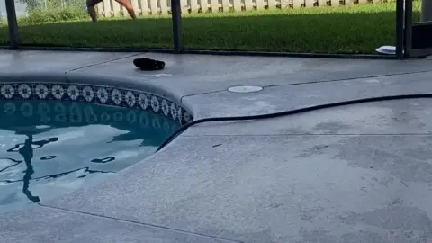 TanlinesNGoodTimes – Black Curvy Girl Dancing by Pool