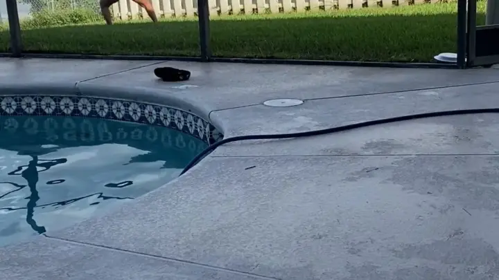 TanlinesNGoodTimes – Chica Curva Negra Bailando junto a Piscina