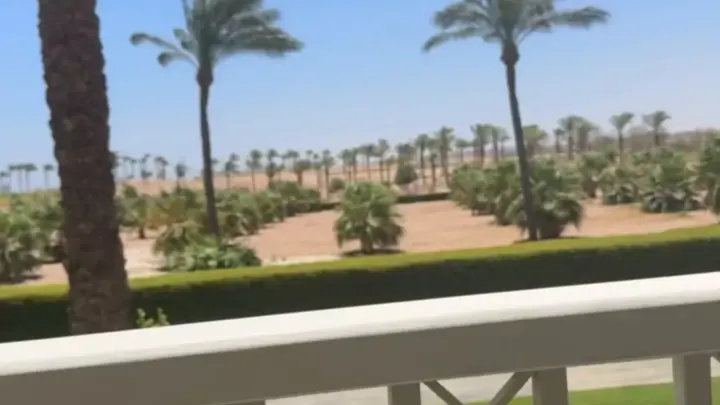 Mia Bluebird: Blowjob Sola