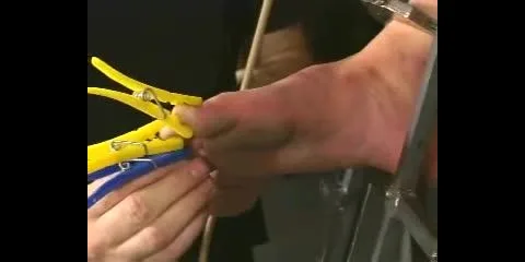 Insex Transcoded Insex 20020417 Application live Feeds From June 29 And July 6 2001 Raw 411 1