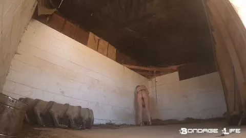 bondagelife 2020 barn chores 0001