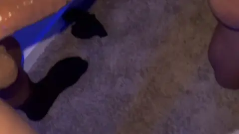 OnlyFans TanlinesNGoodTimes 2021-12-23 0gxo5yzsxb3ang8sdnkvw source