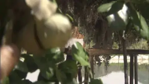 DVD Previews Camp Cuddly Pines Power Tool Massacre