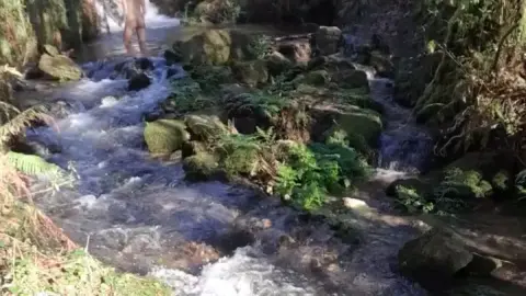 細い白い茶髪の女がストリームでセックス