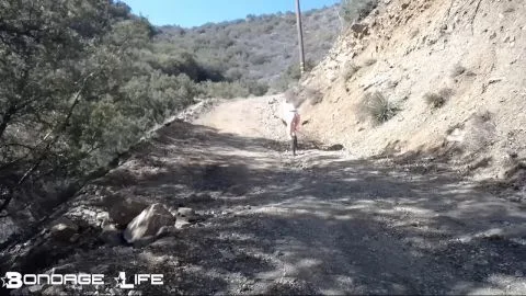 Bondagelife 1 road maintenance 0001