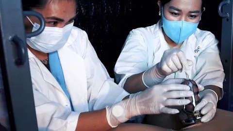 dominafire Medical Cbt Sessions By Two Nurses