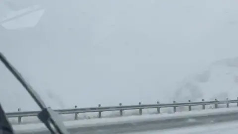 OnlyFans – TanlinesNGoodTimes İki Kız Eşcinsel