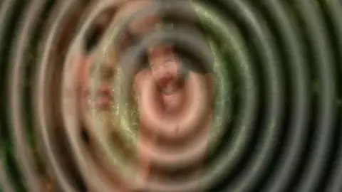 DVD Previews Mommies Gone Bad