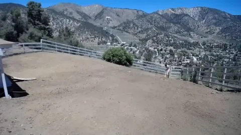 Bondagelife 1 yard maintenance dirt 0001