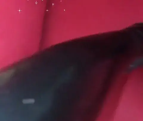 evilwoman evilwoman 2019 07 31 47921518