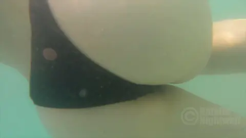 Natalie Nightwolf – Blonde Bikini Fuck