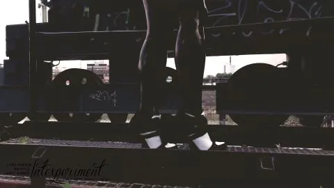 LateXperient H265 2017 08 17 Arya Leopec