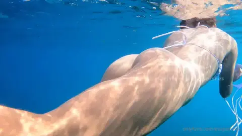 mywetteva 0h0cja1jgoib41kk0opec source