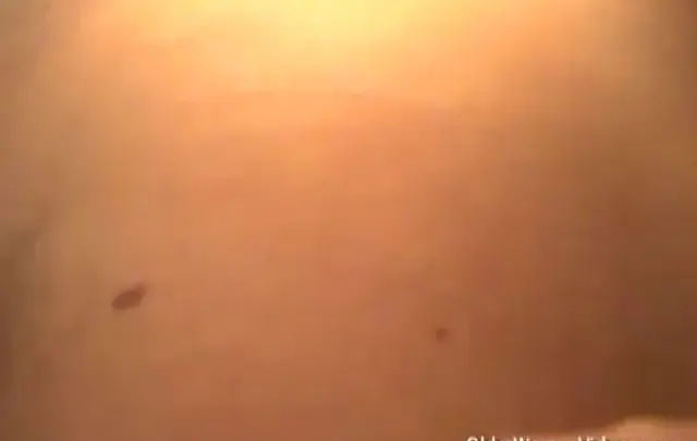 auntjudys com – 蜜蜂自拍私处特写 (bee-bee002)