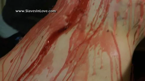 Slaves in love bd1219 10