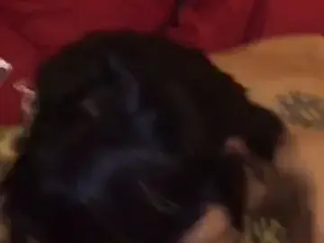 beer111 [361 vids-488 pics] 0gxfmmxpfwzhls1qzdqob source